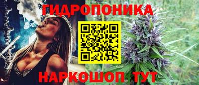 твердый Будённовск