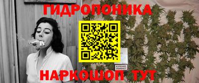 твердый Будённовск