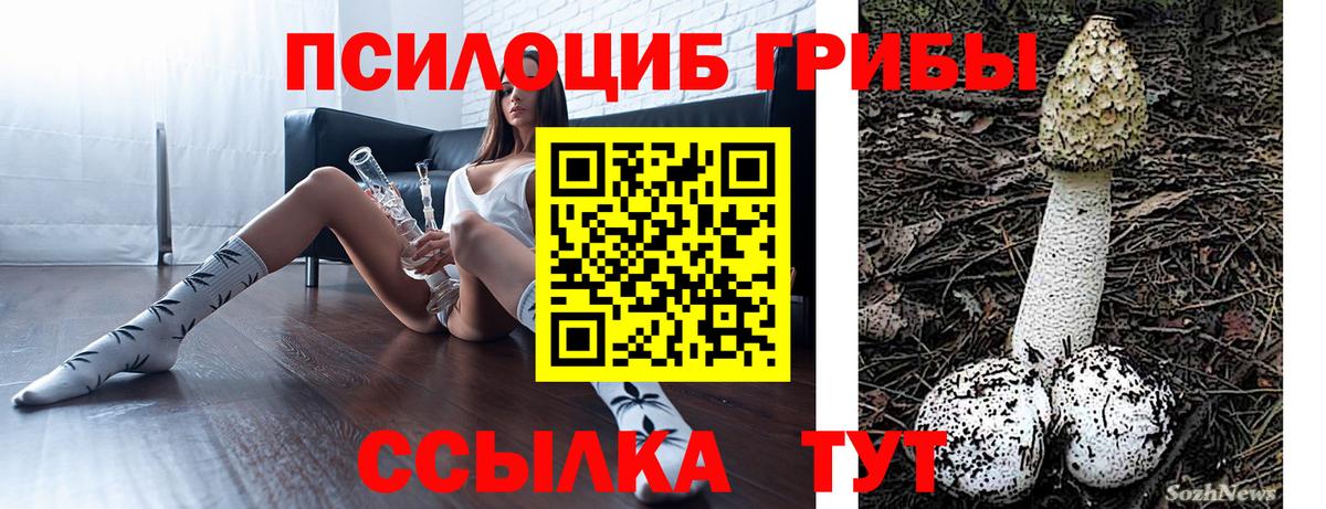 Ревда  Галлюциногенные грибы GOLDEN TEACHER  Вход с VPN  дарнет шоп  Псилоцибиновые грибы Psilocybine cubensis 